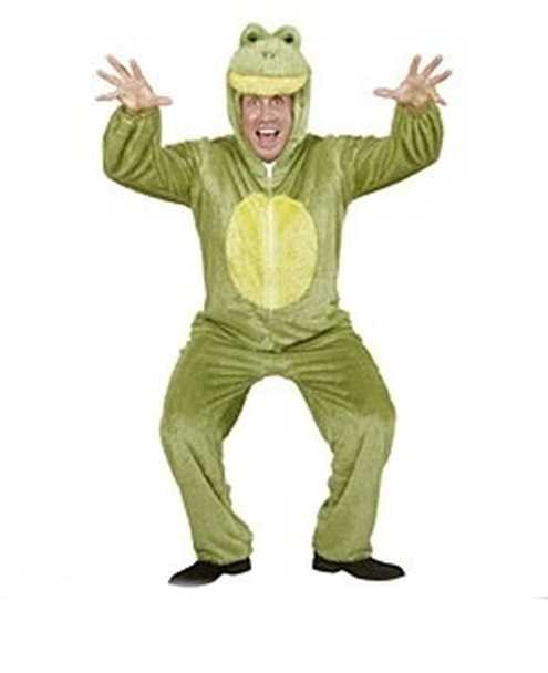 Plus Size Frog Costume