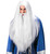 Wizard Wig Set