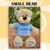 Personalised Teddy With blue Jumper Size Guide