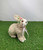 Crouching Rabbit Decoration