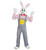 Country Rabbit Costume - overalls, gloves, shoe covers, mask