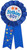 Birthday Boy Multicolour Award Badge (17cm x 8cm) 1 Count - Vibrant & Fun Celebration Accessory for the Special Day