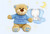 Embroidery  Boys Christening Teddy