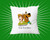 Scooby Doo Cushion