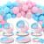 Gender Reveal Paper Plates Display