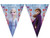Disney Frozen 2 Flag Banner - Front Image | Disney Frozen 2 Party Supplies