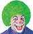 Green Curly Clown Wig