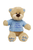 Personalised Embroidery Boys Communion Teddy (Small)