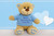 Embroidery Small Blue Christening Bear