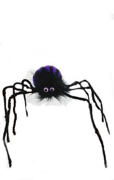 Purple Spider Front