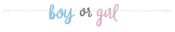 Boy Or Girl Gender Reveal Banner