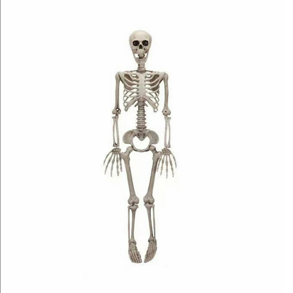 Hanging Skeleton Figure - 90cm