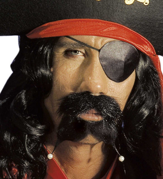 Pirate Moustache