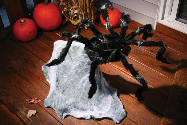 Giant Jumping Spider Prop