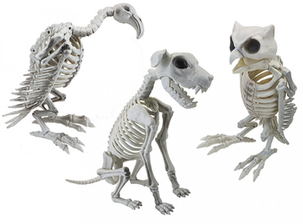 Large Skeleton Animal Decoration