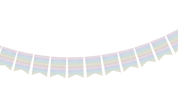 Eco Rainbow Flag Banner