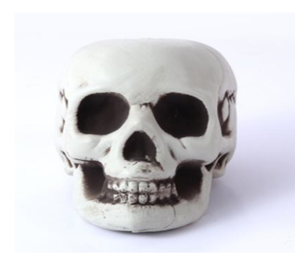Halloween Skull 11cm