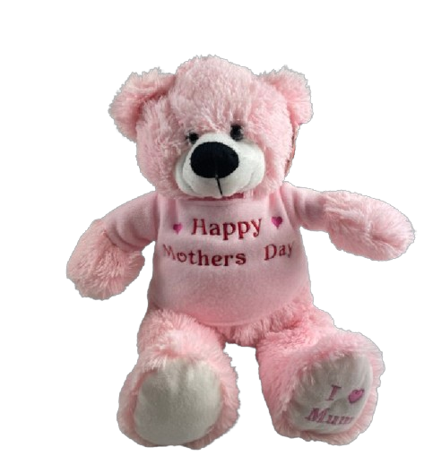 Personalized Teddy Bear With Photo & Text – White Plush, 8 Inch, Hoodie & Rose, Gift For Mom From Son/Daughter
