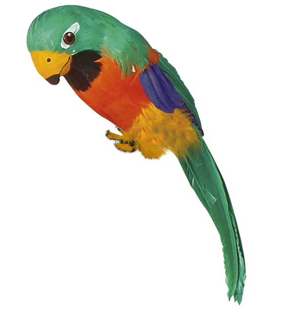 Green Feathered Parrot