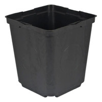 Grow1 1 Gallon Black Square In