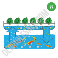 AquaBox Complete Aquaponics Kit