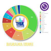 True Terpenes Banana Kush Profile 2ml