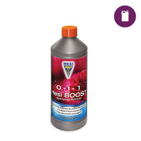 Hesi Boost 1L