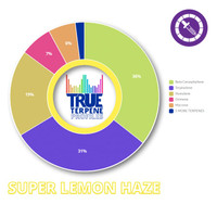 True Terpenes Super Lemon Haze Profile 4oz