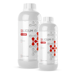 Silicium Bloom 500 ML