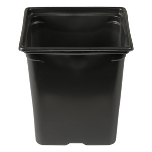 3.25'' x 3.25'' x 3.5'' 0.5qt Square Pot