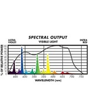 (HPS+Metal Halide) Cool