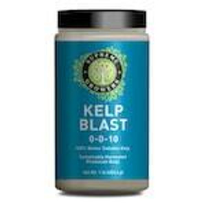 Kelp Blast