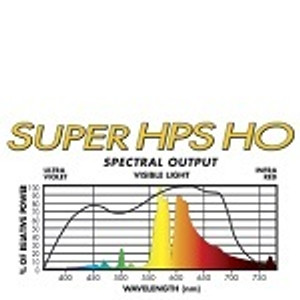 SUPER HPS HO (High Output)