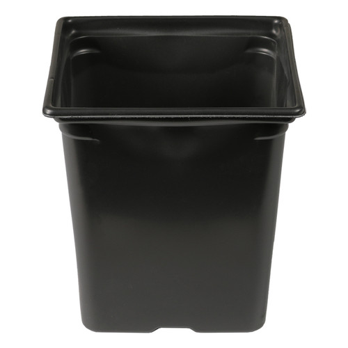 3.25'' x 3.25'' x 3.5'' 0.5qt Square Pot