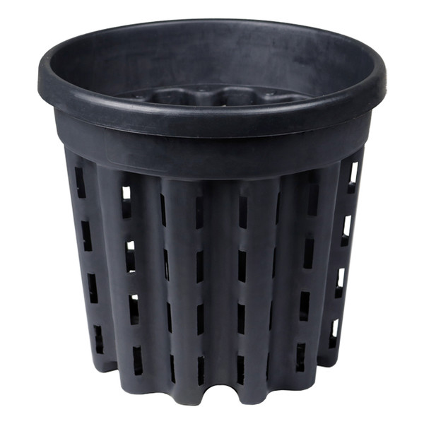 12'' Root Pruning Pot (20L) 5.25 Gallon 12'' Root Pruning Pot (20L) 5.25 Gallon