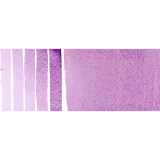Ultramarine Violet DS Awc 15ml S1