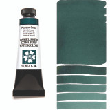 Prussian Green DS Awc 15ml S1