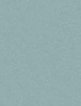 Neutral cool grey pastel paper with a smooth finish—perfect for tonal studies, grayscale compositions, and high-contrast artworks