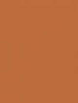 Rich raw sienna pastel sheet in golden‑brown warmth—excellent for sunlit landscapes or autumnal highlights