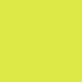 Artist Neopastel Lime Green | 7400.231