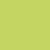 Colour swatch showing the soft, pale green tone of Caran d’Ache Light Olive 20% pastel pencil
