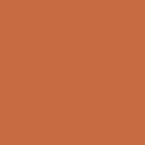 Solid Burnt Sienna colour swatch – deep red-brown acrylic paint