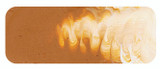 Gradient paint sample of Raw Sienna showing tonal variation and heavy-body texture