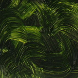 Gamblin Artist's Oil Colors Sap Green AG 37ml