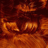 Gamblin Artist's Oil Colors Transparent Earth Orange AG 37ml