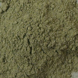 Top view of Antica Green Earth pigment powder PG23 showing natural warm grey-green earth texture close-up