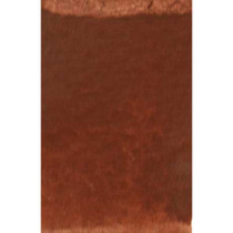 Rublev Artist Watercolours 15ml - S3 Armenian Brown Mummy