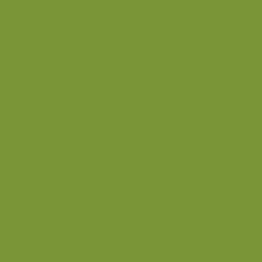 Pastel Pencil Moss Green | 788.225