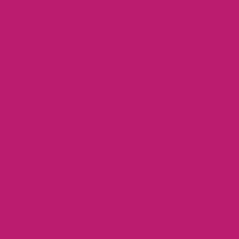 Chromacryl Student Acrylics 250ml - Fluoro Pink