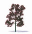 12mm etched brass red beech tree for model architecture and diorama scenes